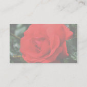 Rose rouge en fleurs Carte de visite floral (Dos)