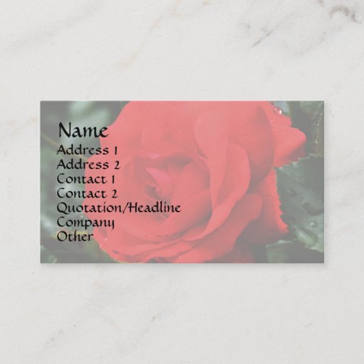 Rose rouge en fleurs Carte de visite floral (Devant)