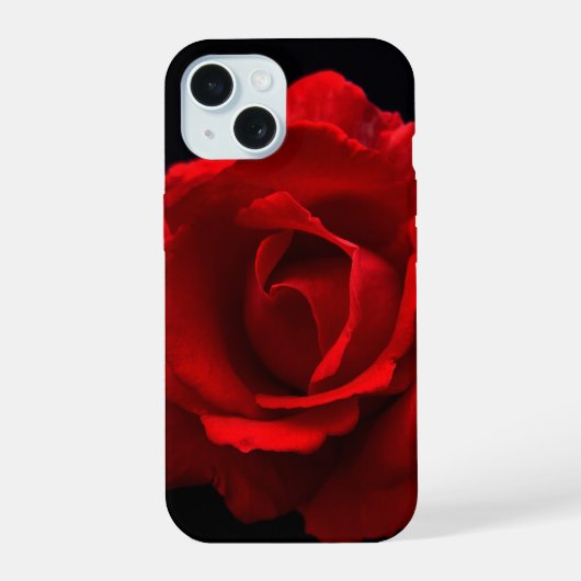Rose Rouge iphm (Verso)