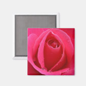 Rose rouge Magnet Rose rose cadeaux Keepsaké Décor (Recto/Verso)