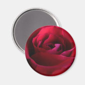 Rose rouge Magnet Rose rose cadeaux Keepsaké Décor (Recto/Verso)