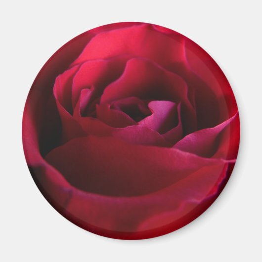 Rose rouge Magnet Rose rose cadeaux Keepsaké Décor (Devant)