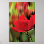 Rose rouge moderne haute poly | Art mural botaniqu (Devant)