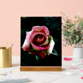 Rose rouge peinte à l'huile (Mariage)