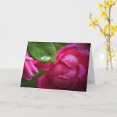 Rose rouge & Raindrops, carte (Fleur jaune)