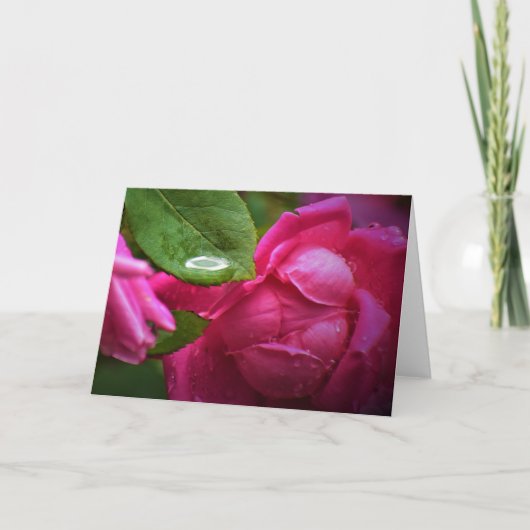 Rose rouge & Raindrops, carte (Devant)