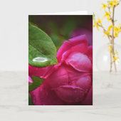 Rose rouge & Raindrops, carte (Fleur jaune)