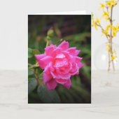 Rose rouge & Raindrops, carte (Fleur jaune)