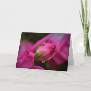 Rose rouge & Raindrops, carte