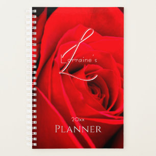 Rose rouge romantique
