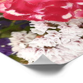 Rose rouge Rose Blanc Floral Poster du jardin (Coin)