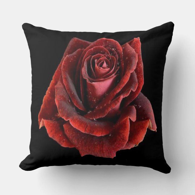 Rose rouge sur coussin Coussin noir (Recto)