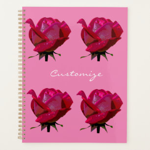 rose rouge Thunder_Cove