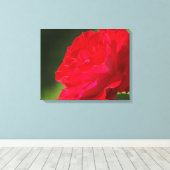 Rose rouge - Toile (Insitu (Plancher de Bois))