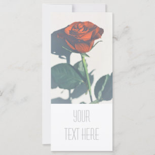 Rose rouge vif Ajouter votre carte à plat texte