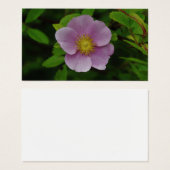 Rose sauvage (Devant & derrière)