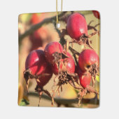 Rose sauvage Hips Ornement de Noël (Gauche)