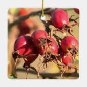 Rose sauvage Hips Ornement de Noël (Dos)