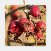 Rose sauvage Hips Ornement de Noël (Devant)