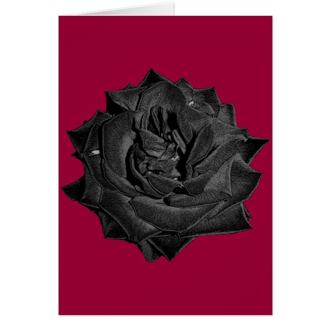 Rose simple de noir (Devant)