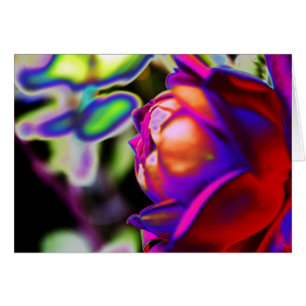 Rose solarifié par Shirley Taylor