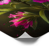 Rose Sweet William Flower Art Imprimer Poster (Coin)