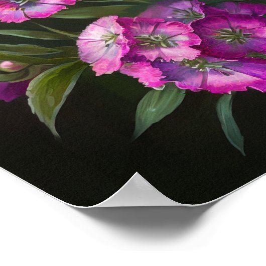 Rose Sweet William Flower Art Imprimer Poster (Coin)