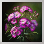 Rose Sweet William Flower Art Imprimer Poster (Devant)