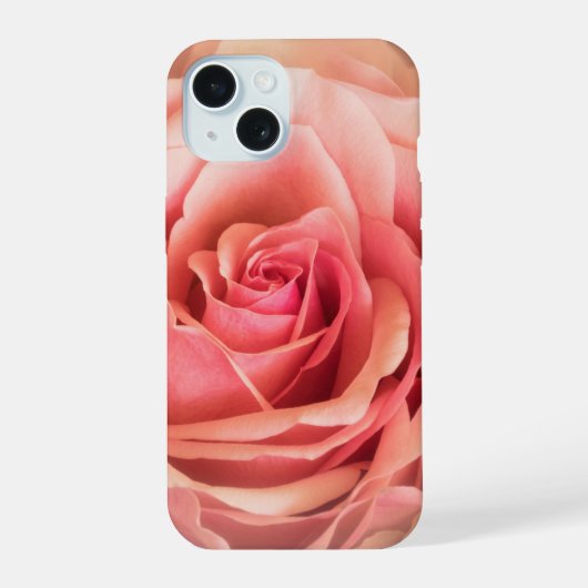Rose tendre teint rose (Verso)