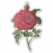  ROSE TRANSPARANTE STICKER (Voorkant)