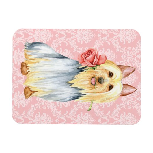 Rose Valentin Silky Terrier Magnet (Horizontal)