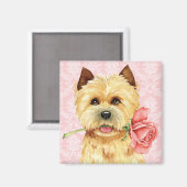 Rose Valentine Cairn Terrier Magnet (Recto/Verso)