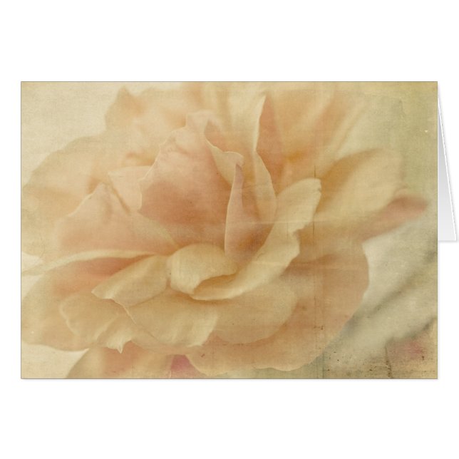Rose vide (Devant horizontal)