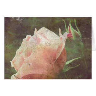 Rose vintage