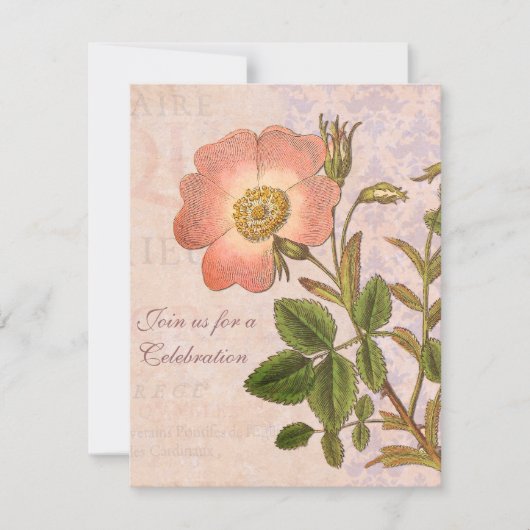 Rose vintage Invitation de fête d'anniversaire (Devant)