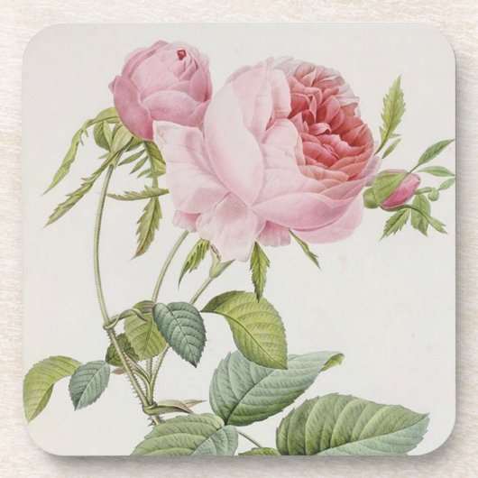Rose Vintage Redoute Dessous de verre d'accents fr (Devant)