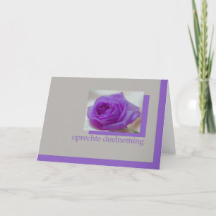 rose violet sur carte en sypathy hollandaise grise
