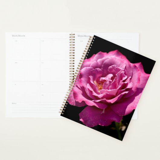 Rose Visage Angel Haut (Devant avec enveloppe)
