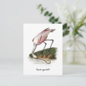 Roseate lepelaar schilderij Klein Briefkaart (Staand voorkant)