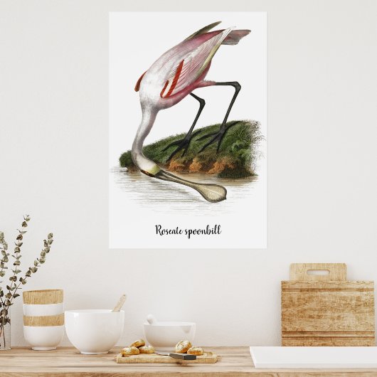 Roseate lepelaar schilderij poster (Keuken)