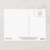 Roseate Parrakeet door Edward Lear Briefkaart (Achterkant)