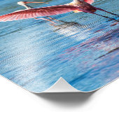 Roseate Spoonbill 10 x 8 Kodak Pro Foto Afdruk (Hoek)