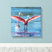 Roseate Spoonbill 12 x 12 inch Wrapped Canvas Afdruk (Insitu (Houten vloer))
