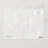 Roseate Spoonbill (3050) Briefkaart (Achterkant)