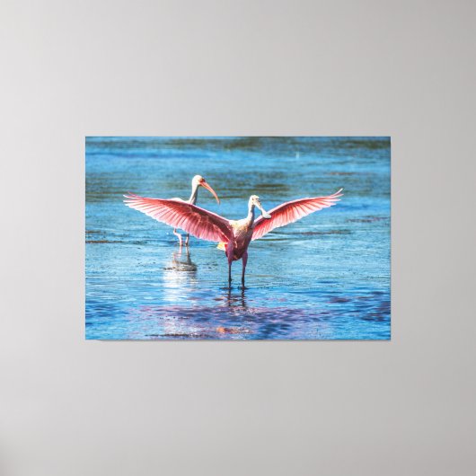 ROSEATE SPOONBILL 60 X 40 WRAPPED CANVAS PRINT (Voorkant)