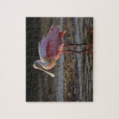 Roseate Spoonbill, Ajaia ajaja, Ding Darling Legpuzzel (Verticaal)