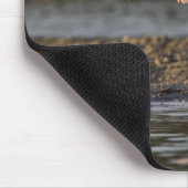 Roseate Spoonbill, Ajaia ajaja, Ding Darling Muismat (Hoek)