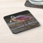 Roseate Spoonbill, Ajaia ajaja, Ding Darling Onderzetter (Linkerzijde)