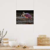 Roseate Spoonbill, Ajaia ajaja, Ding Darling Poster (Keuken)