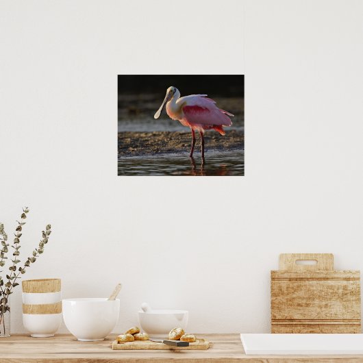 Roseate Spoonbill, Ajaia ajaja, Ding Darling Poster (Keuken)